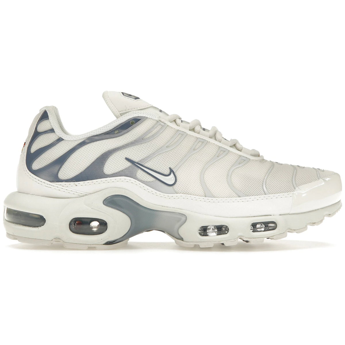 Nike Air Max Plus Ashen Slate